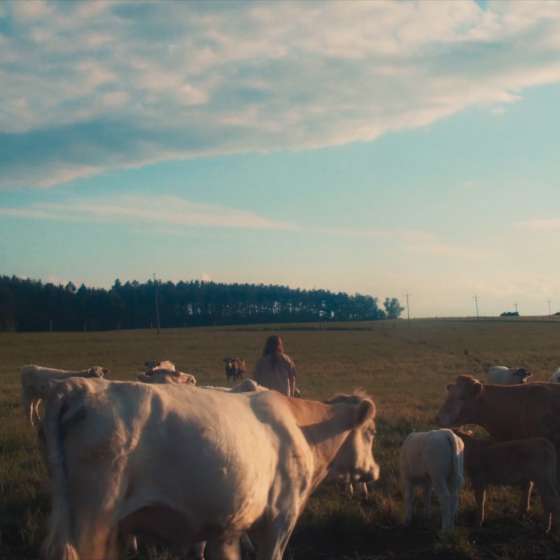 Każdy koniec wygląda inaczej. Film Eksperymentalny