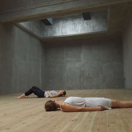 Making the walls quake, Pawilon Polski (dzięki uprzejmości galerii Zachęta), 2012