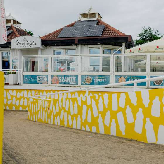 Proekologiczne murale naszych studentów_tek w przestrzeni Gdańska  - 9