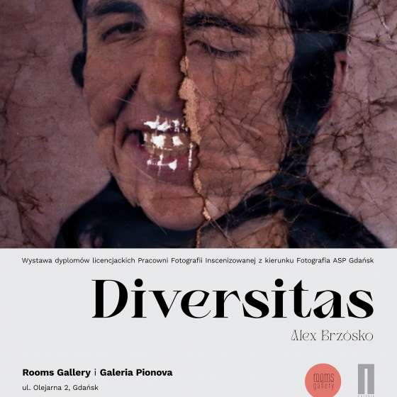„Diversitas”  - 2