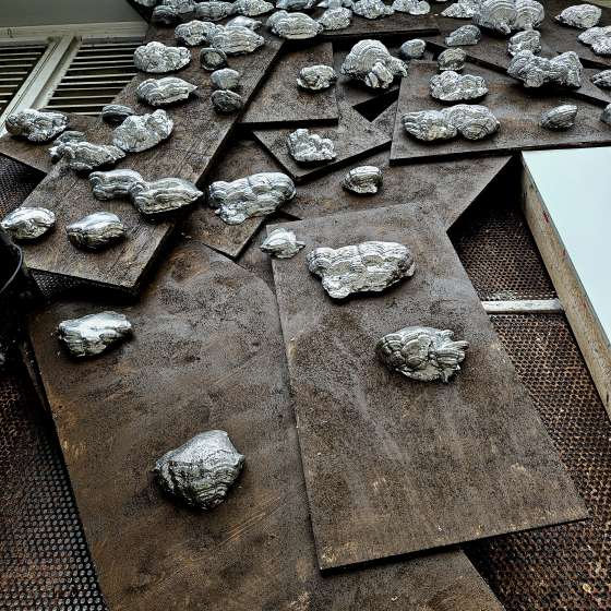 Martyna Jastrzębska na OSTRALE Biennale O25 w Dreźnie - 2