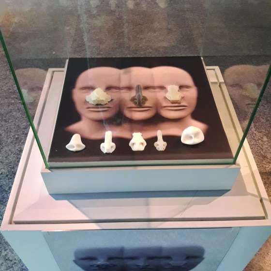 Who nose, 2018, Madryt