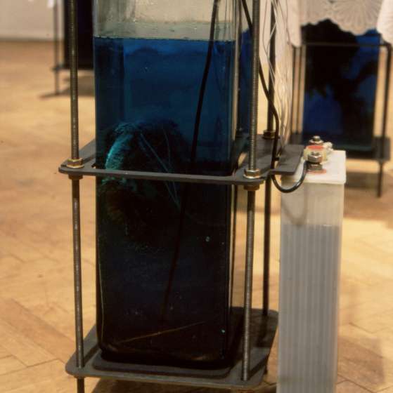Marek Targoński - 9