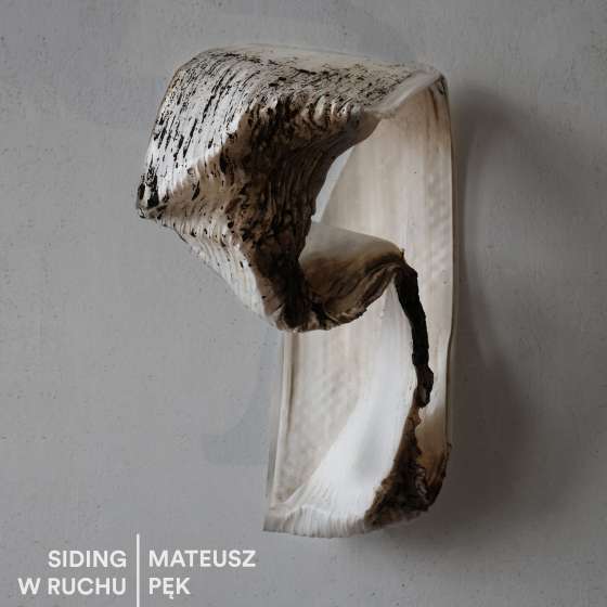 SIDING W RUCHU. Mateusz Pęk