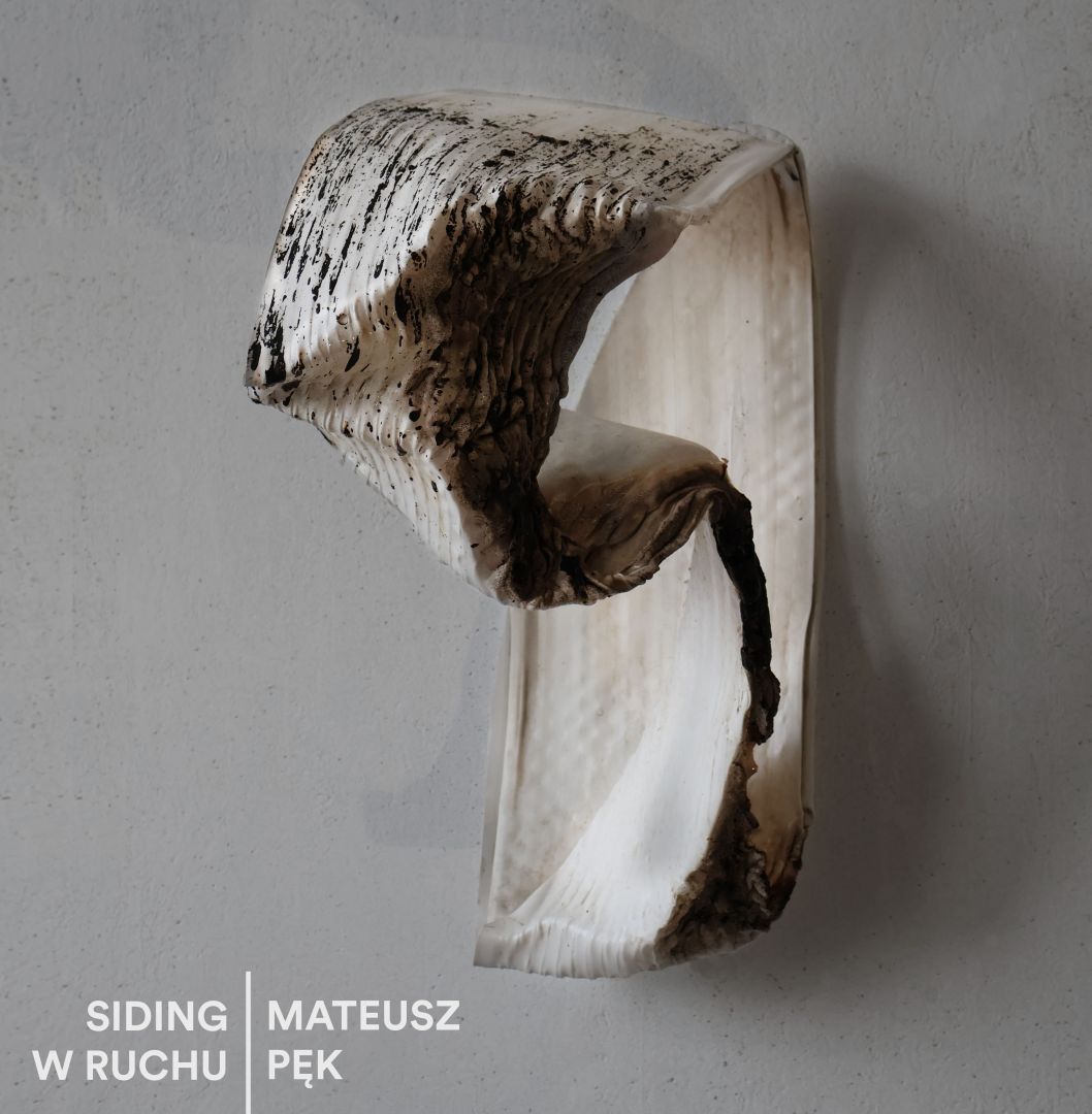 SIDING W RUCHU. Mateusz Pęk