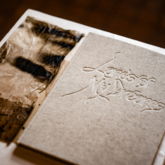 Mapując podświadomość, Photobook Lands Of My Dreams