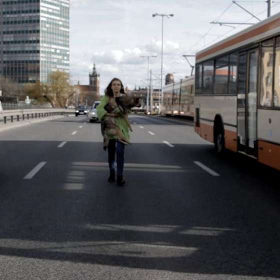 Stop klatka z video pt. Z Sasko