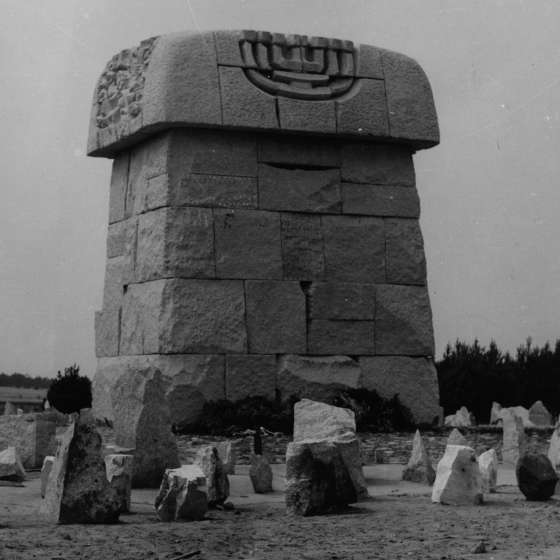 Pomnik - widok; Treblinka; 1961-1964; I/A/2/111