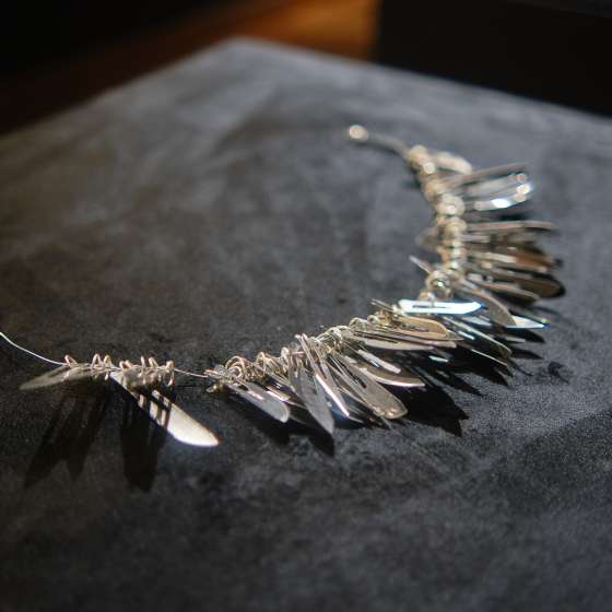 W obiektywie - 317
