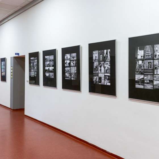 Wystawa fotografii autorstwa dra hab. Piotra Mikołajczaka - 3